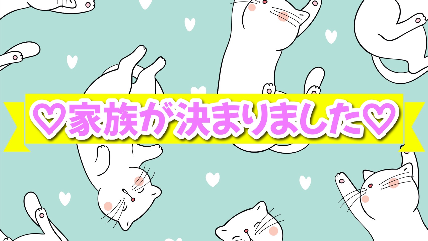 神奈川県のシャム (かねだい横浜店/2024年11月10日生まれ/男の子/ブルーポイント)の子猫