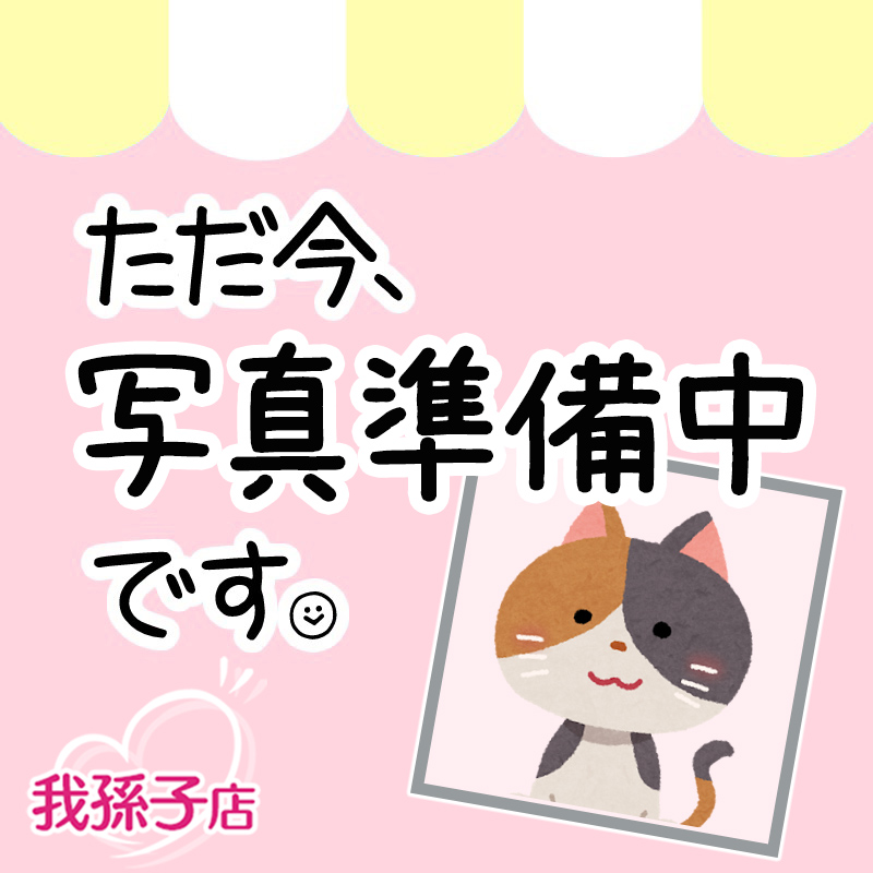 千葉県のハーフ猫・ミックス猫 (かねだい我孫子店/2024年8月8日生まれ/男の子/その他色)の子猫